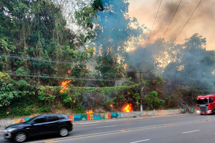 Fogo devasta área verde na região Centro-Sul de Manaus