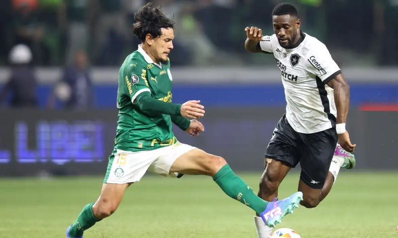 Palmeiras e Botafogo se enfrentam na disputa pela liderança do Brasileirão