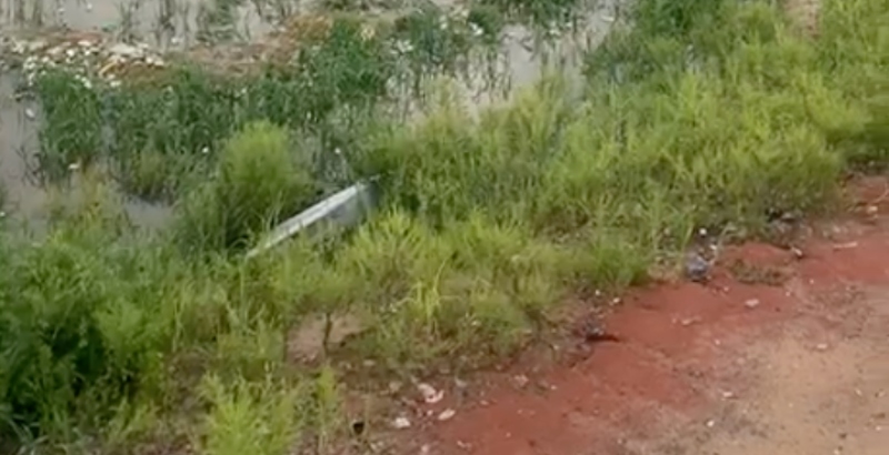 Urgente: corpo decapitado é achado flutuando em igarapé do São Raimundo; assista ao vídeo