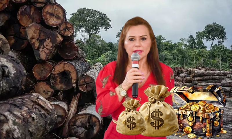 Ministério Público solicita saída imediata da Presidente do Instituto de Terras de Roraima por suspeita de grilagem de R$ 1,3 bilhão