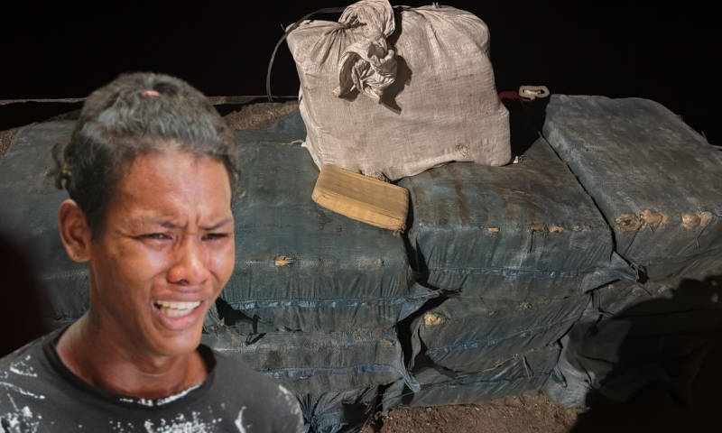 Polícia do AM Confisca Meia Tonelada de Entorpecente Avaliada em R$ 10 Milhões: Choro de Usuário