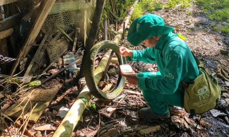 Registrada no interior do Amazonas a primeira morte por dengue em 2025.