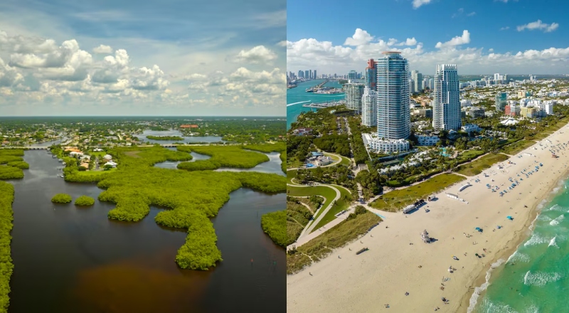 Muito além de Miami: desafios que limitam o Norte da Flórida