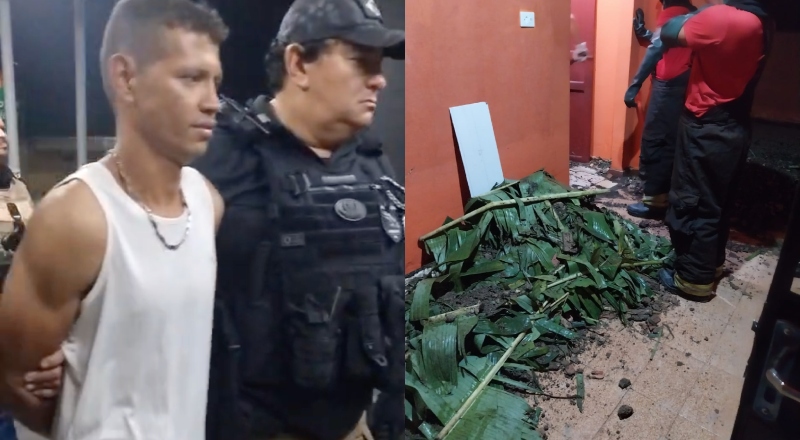 Falso jardineiro mata patrão e tenta se passar por ele em Manaus