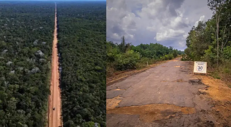 BR-319 vira alvo de nova ofensiva judicial pela proteção ambiental