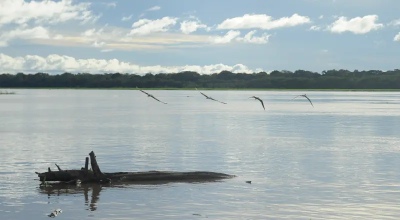MP do Amazonas fiscaliza ações para prevenção de cheias em Anamã