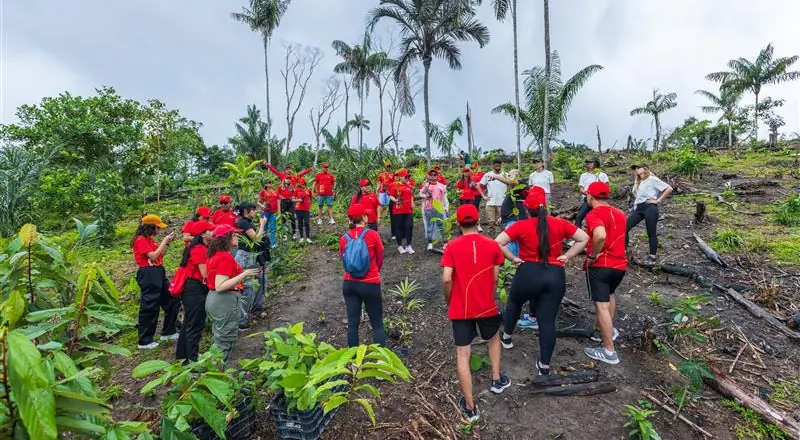 Ação do Grupo Atem no Puraquequara fomenta a bioeconomia local