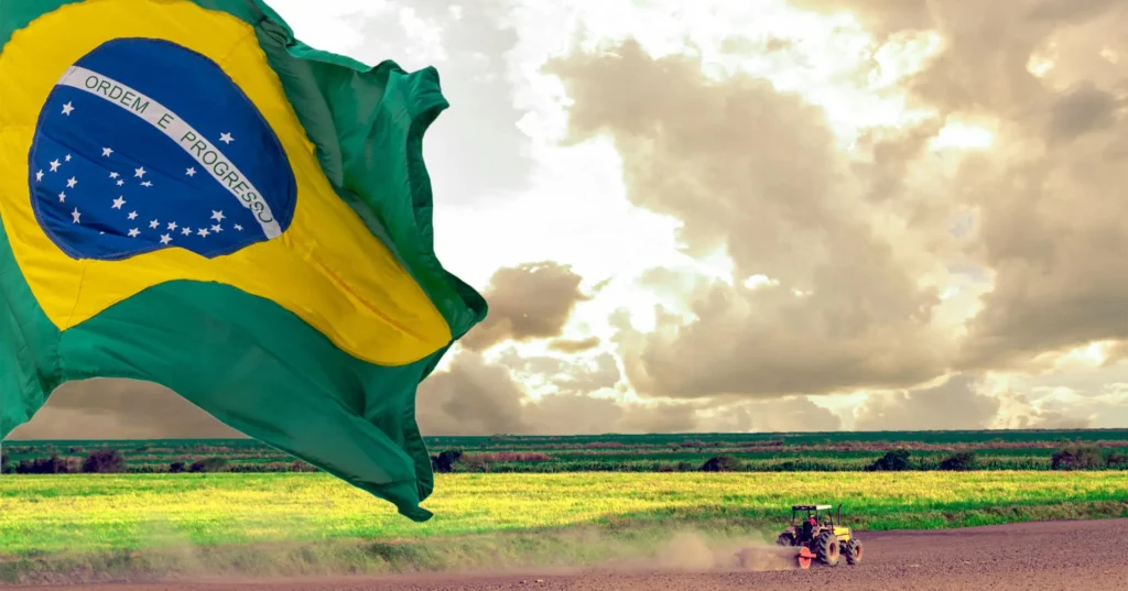 Agronegócio em alta: Brasil avança em embarques agrícolas globais