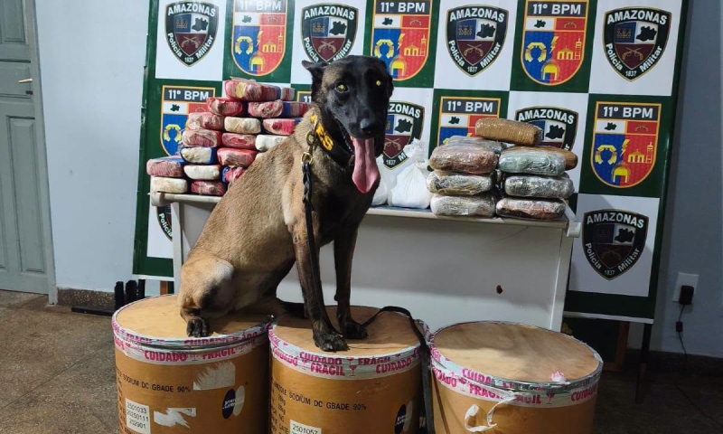 Polícia apreende mais de 72 kg de drogas e desmantela tráfico